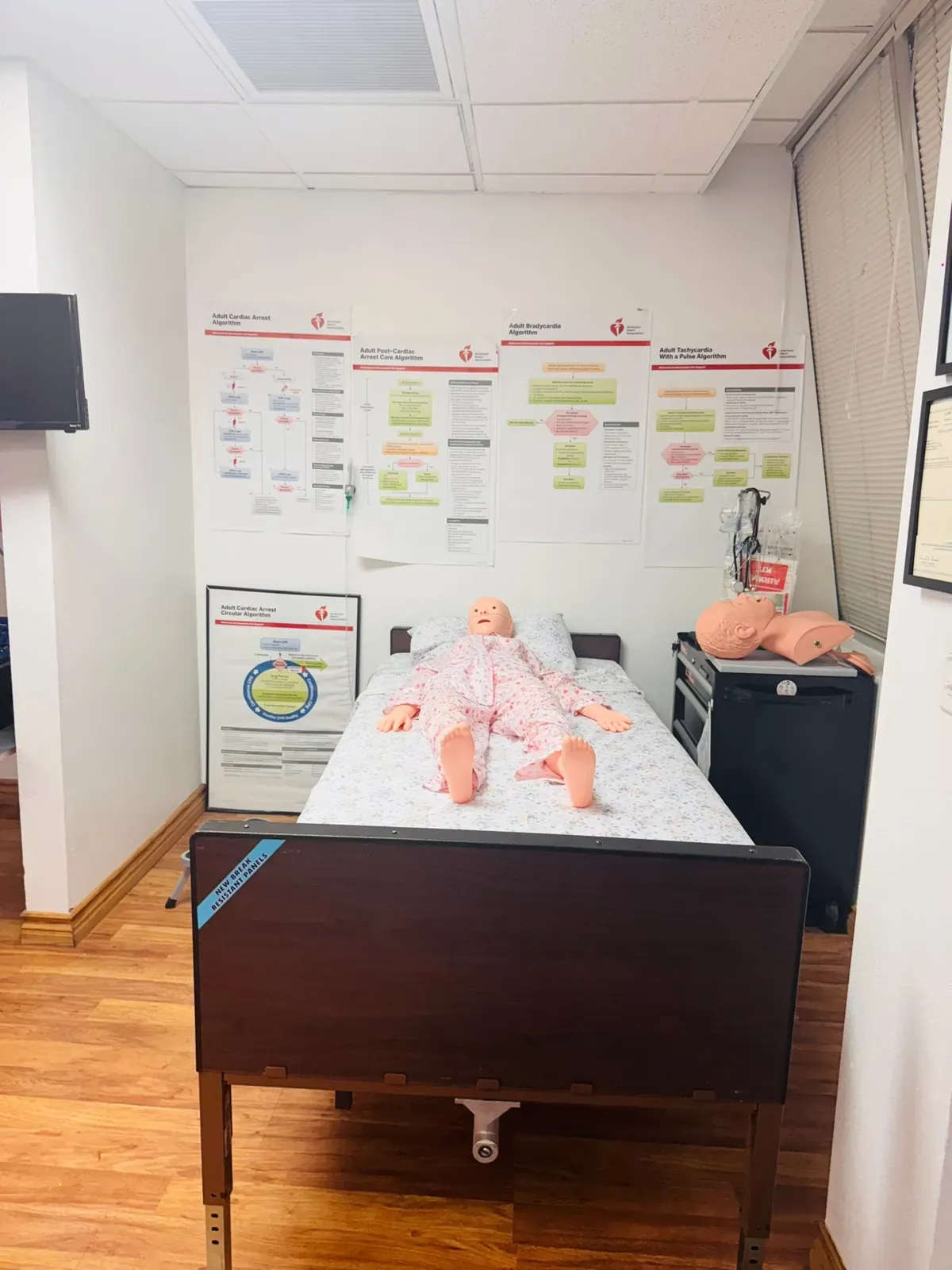 Adult patient manikin on a training bed surrounded by the four AHA ACLS algorithm posters — Cardiac Arrest, Post-Cardiac Arrest Care, Bradycardia, and Tachycardia with a Pulse
